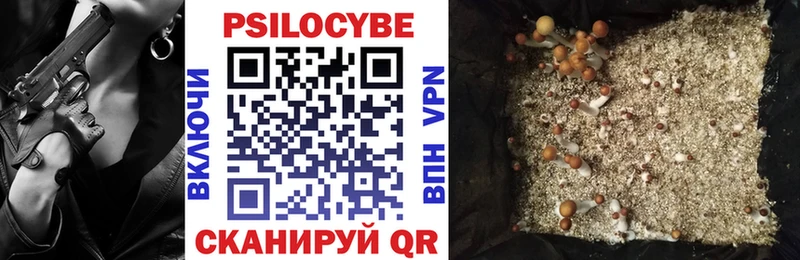 Псилоцибиновые грибы ЛСД Среднеуральск